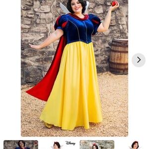 Disney Snow White Costume - Royal Blue, Sunshine Yellow, Scarlet Red